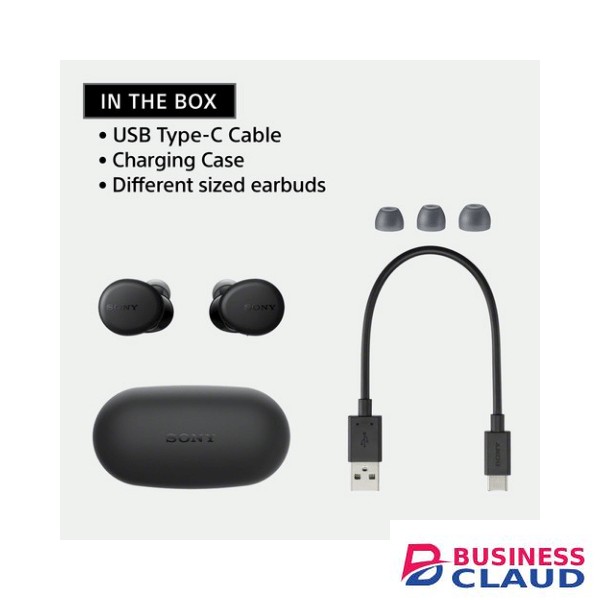 Sony WF-XB700 True Wireless In