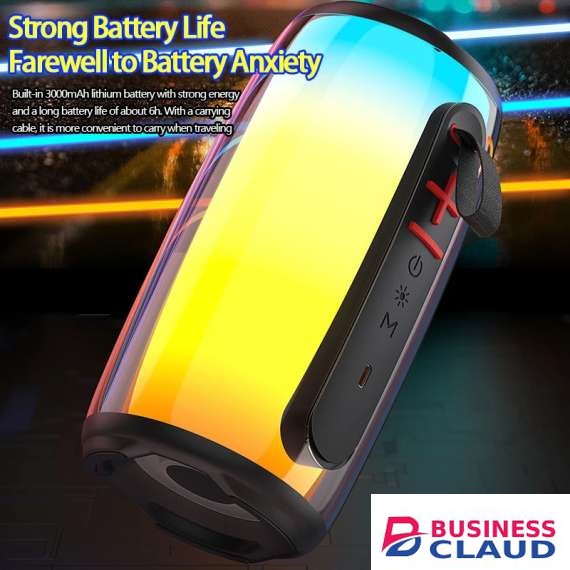 Awei Y528 Portable Speaker