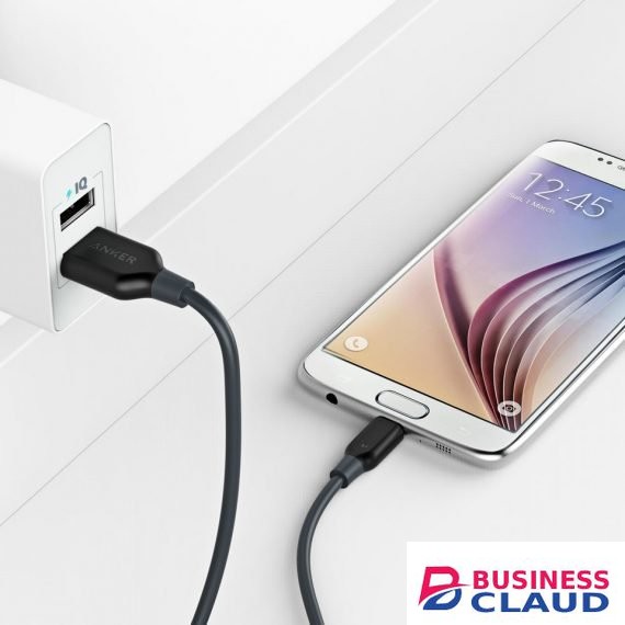 Anker PowerLine 6ft Micro USB Cable