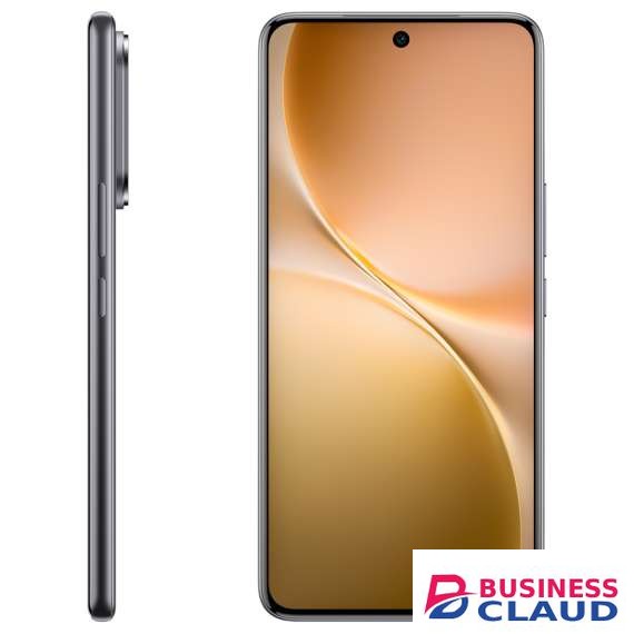 Vivo V60 5G 12GB 256GB Mobile Phone