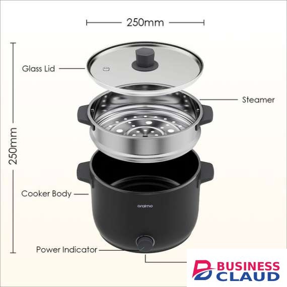 Oraimo 1000W 3L Electric SmartCooker