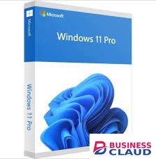 Microsoft Windows 11 Professional