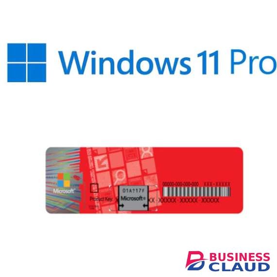 Microsoft Windows 11 Professional- key only