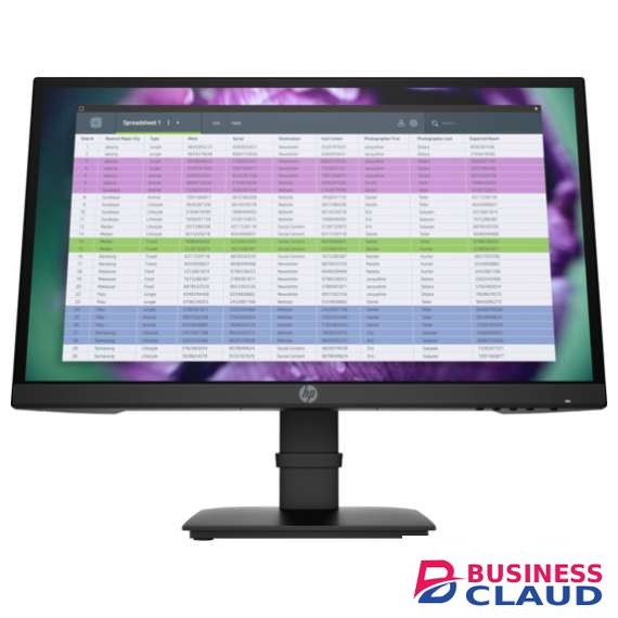HP P22 G4 22 FHD Monitor
