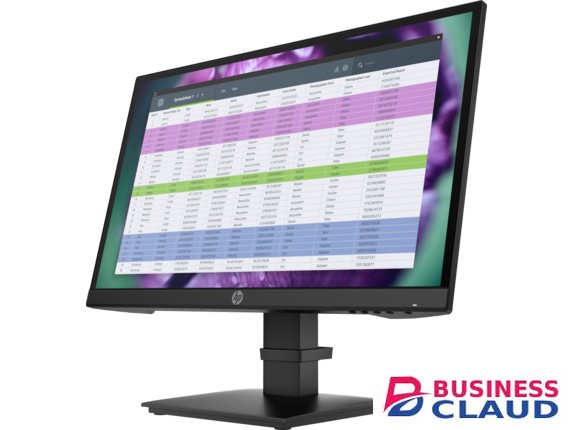 HP P22 G4 22 FHD Monitor