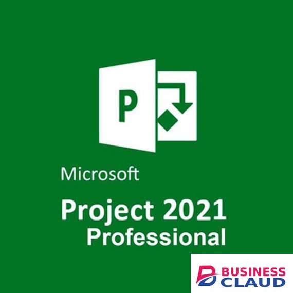 Microsoft Project Professional 2021