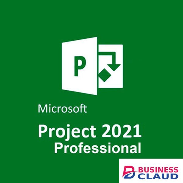 Microsoft Project Professional 2021