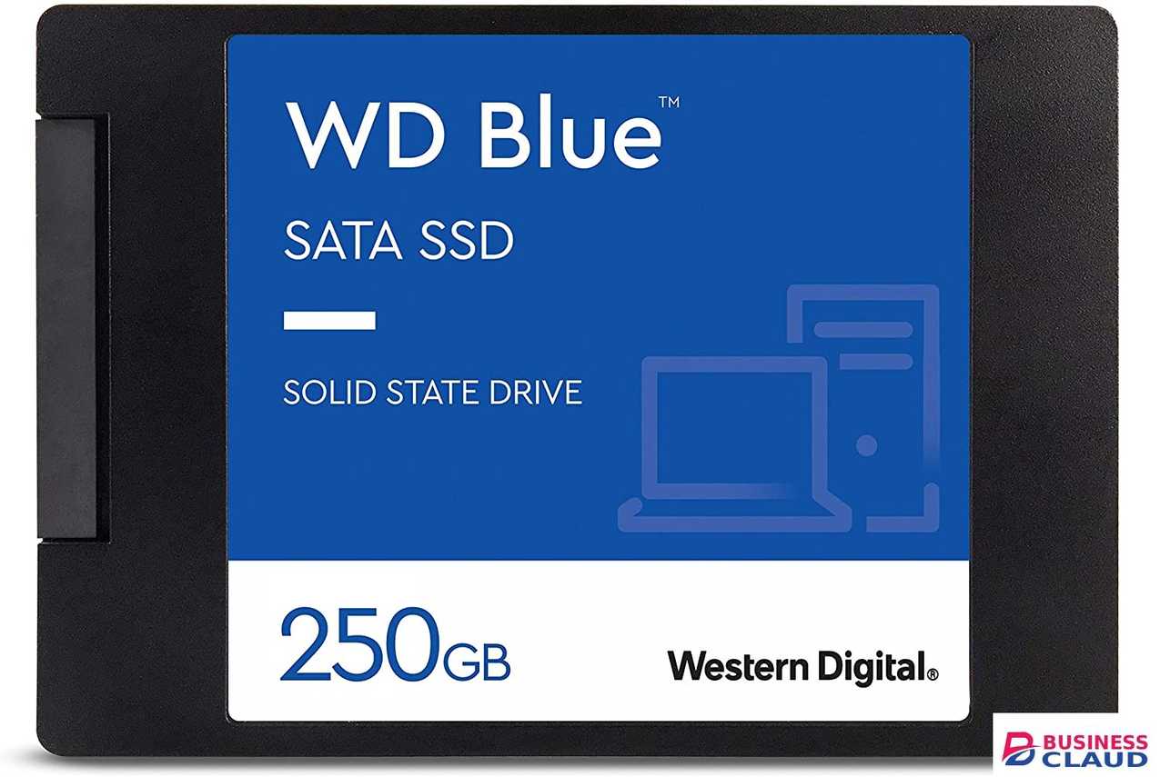 Western Digital 250GB Blue 3D NAND 2.5 Internal SSD