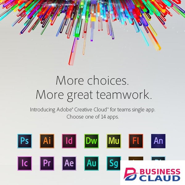 Adobe Creative Cloud for Teams Single App