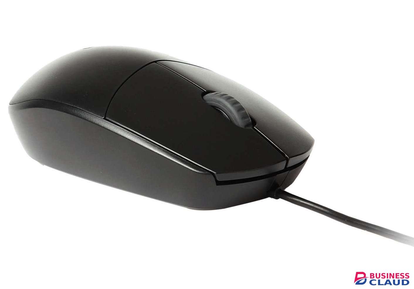 Rapoo N100 Optical Mouse