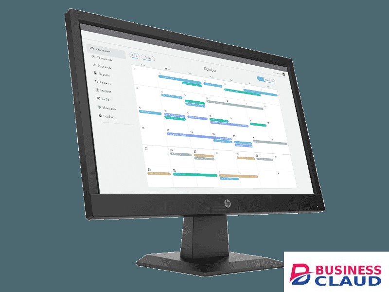 HP P19B 18.5" Monitor
