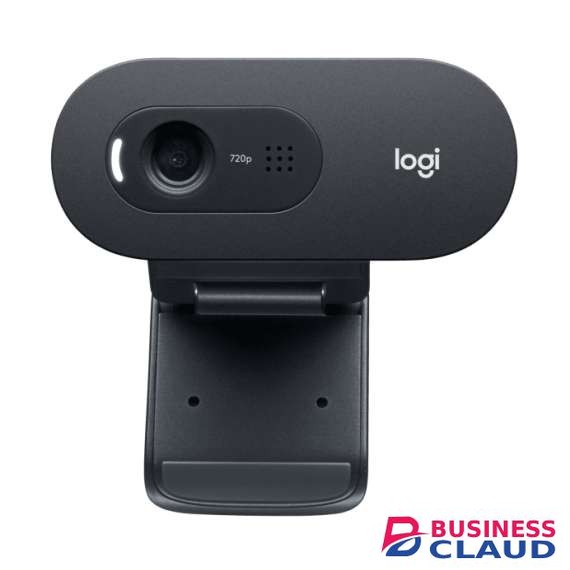 Logitech C505 HD Webcam