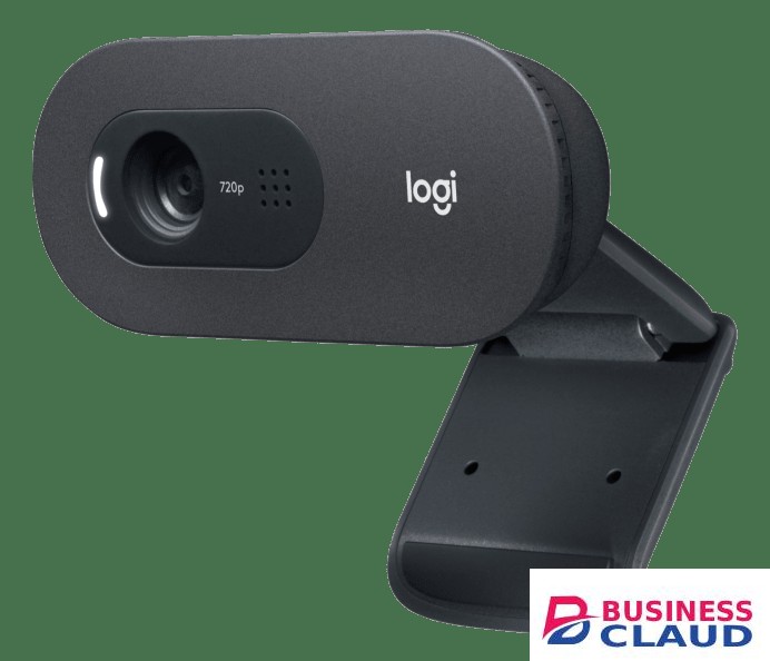 Logitech C505 HD Webcam