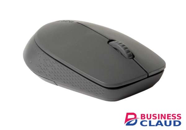 Rapoo M100 Silent Wireless Mouse