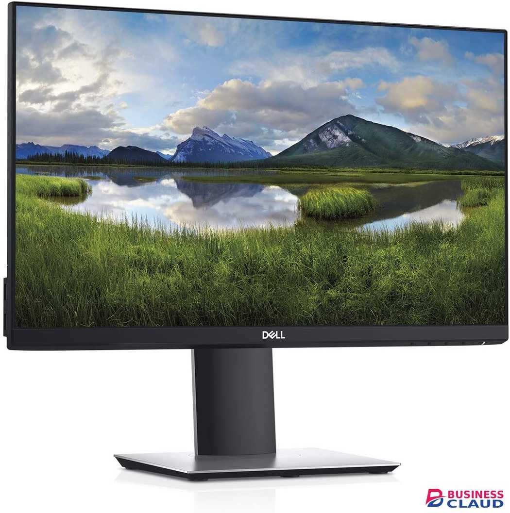 Dell P2219H 21.5 LED-Lit Monitor