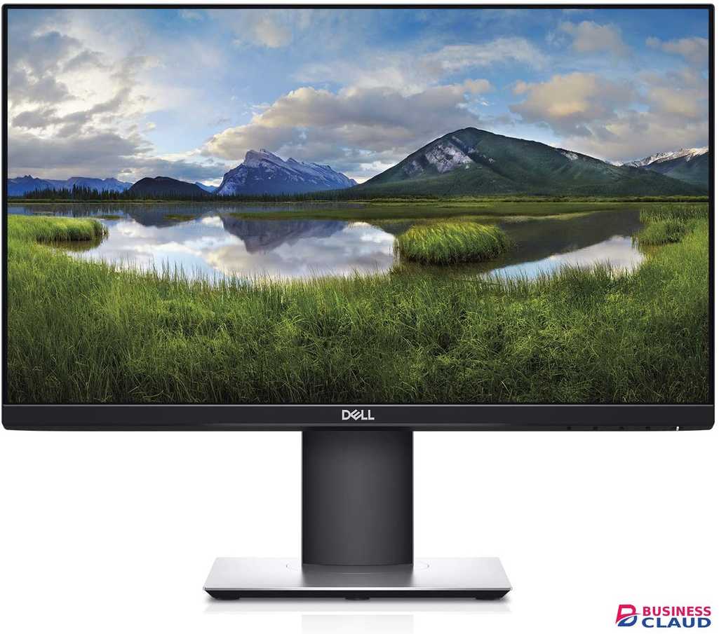 Dell P2219H 21.5 LED-Lit Monitor