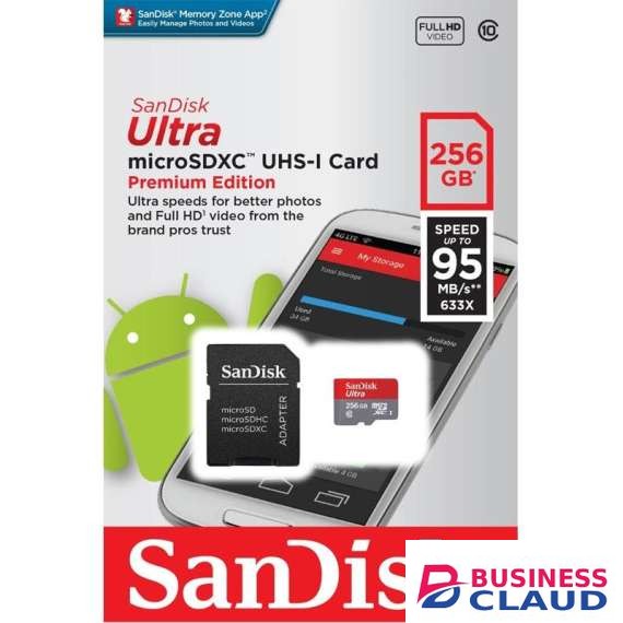 Sandisk 256GB Class 10 Micro SD Card