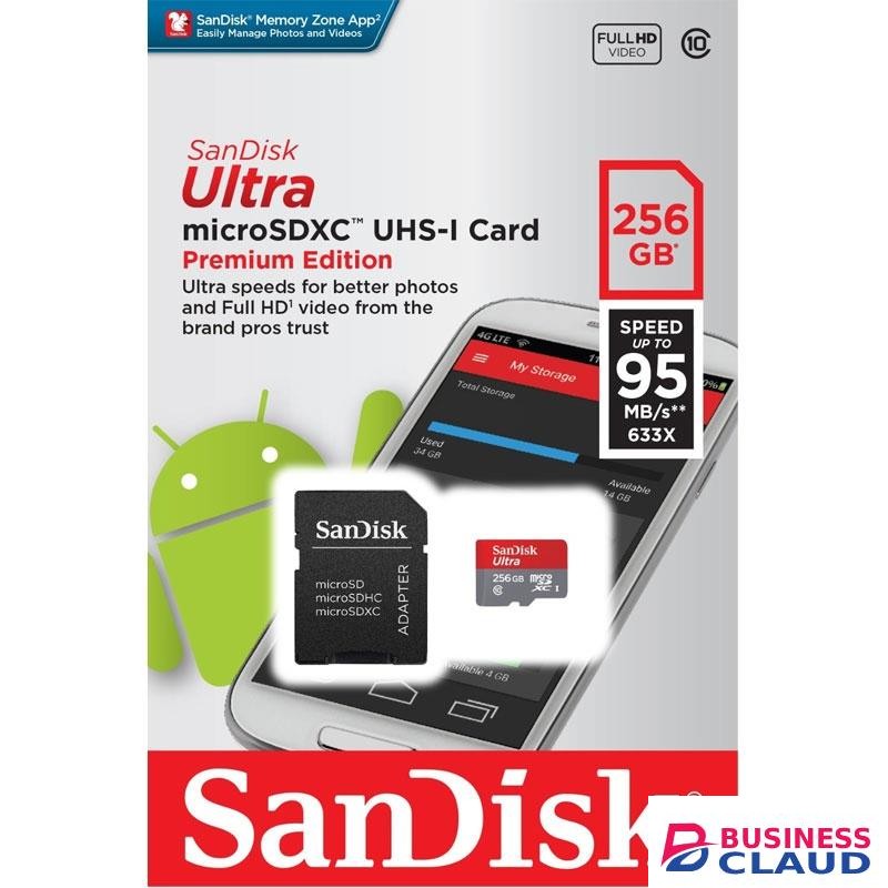 Sandisk 256GB Class 10 Micro SD Card
