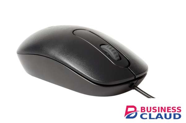 Rapoo N200 Wired Ambidextrous Mouse