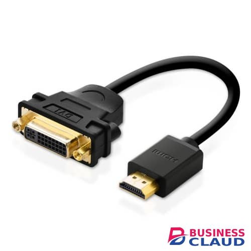 DVI to HDMI Converter
