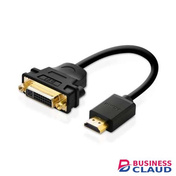 DVI to HDMI Converter