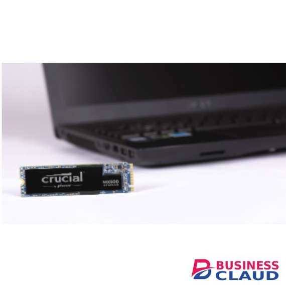 Crucial Su800 1TB M.2 Type 2280 Internal SSD Hard Drive