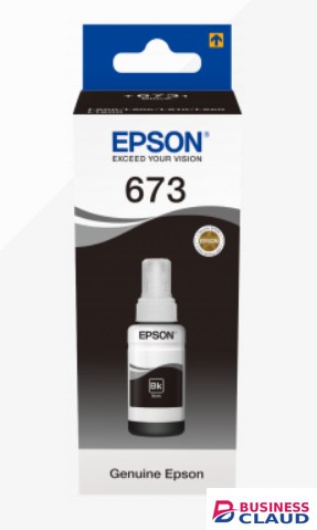 Epson T6731 Black ink bottle
