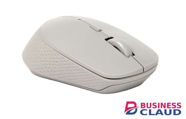 Rapoo M300 Silent Wireless Optical Mouse