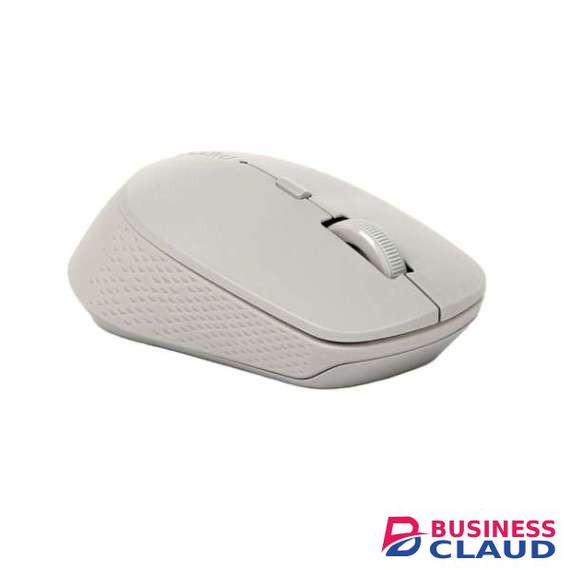 Rapoo M300 Silent Wireless Optical Mouse