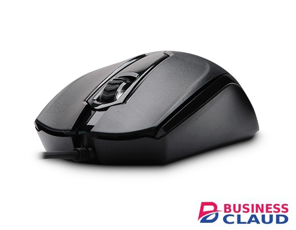 Rapoo N1010 Usb Wired Mouse(Black)