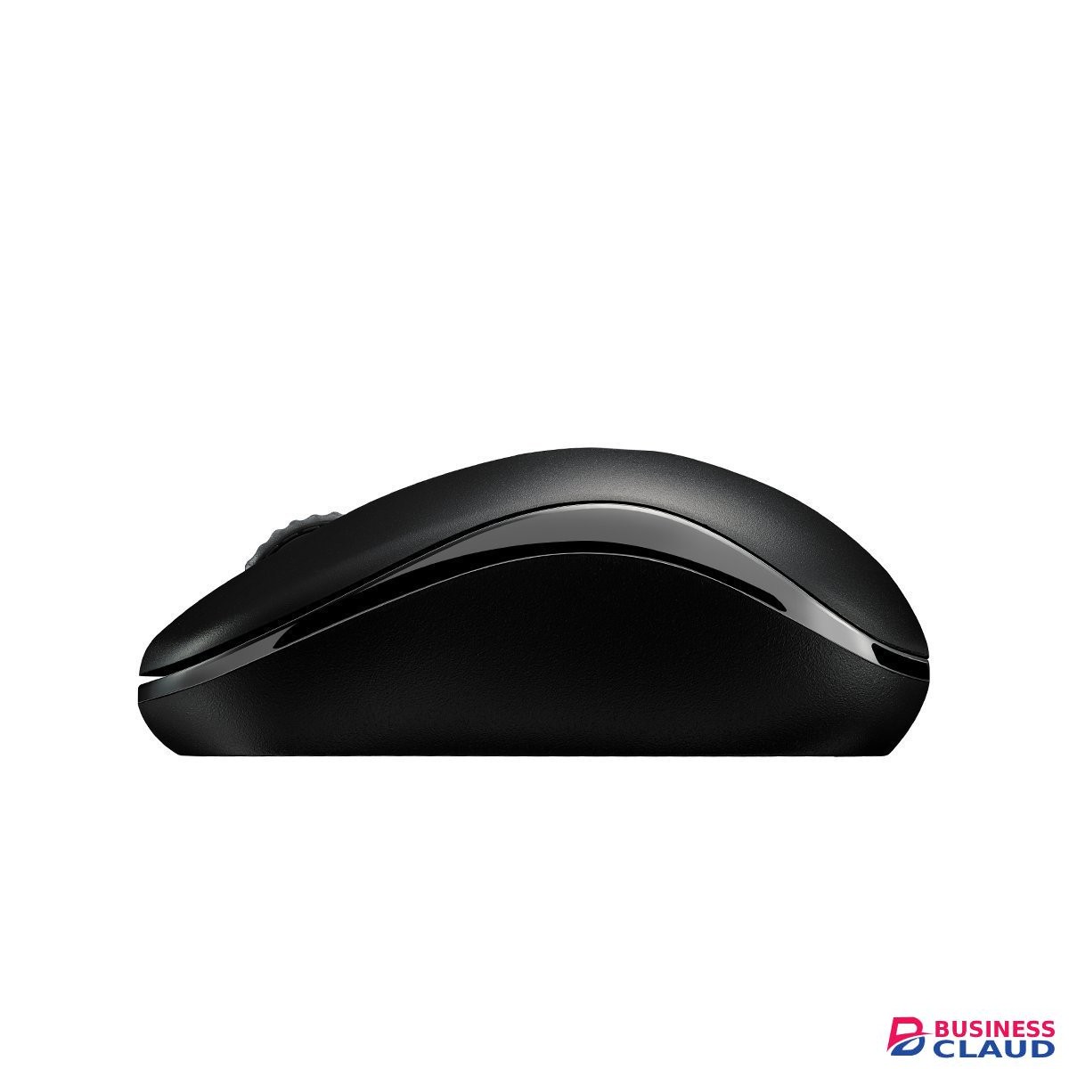 Rapoo M10 Plus Wireless Mouse