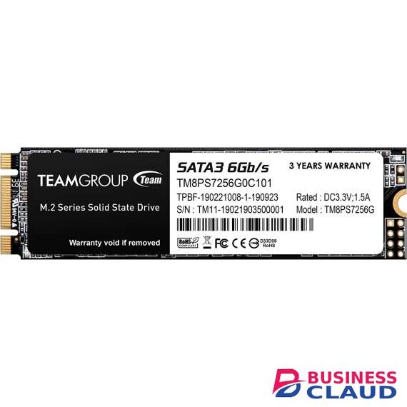 Team Group M.2 SATA III 256GB Internal SSD