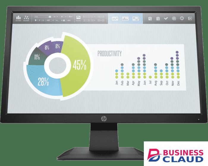 HP P204v 19.5-inch Monitor