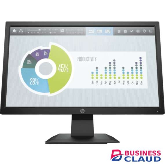 HP P204v 19.5-inch Monitor