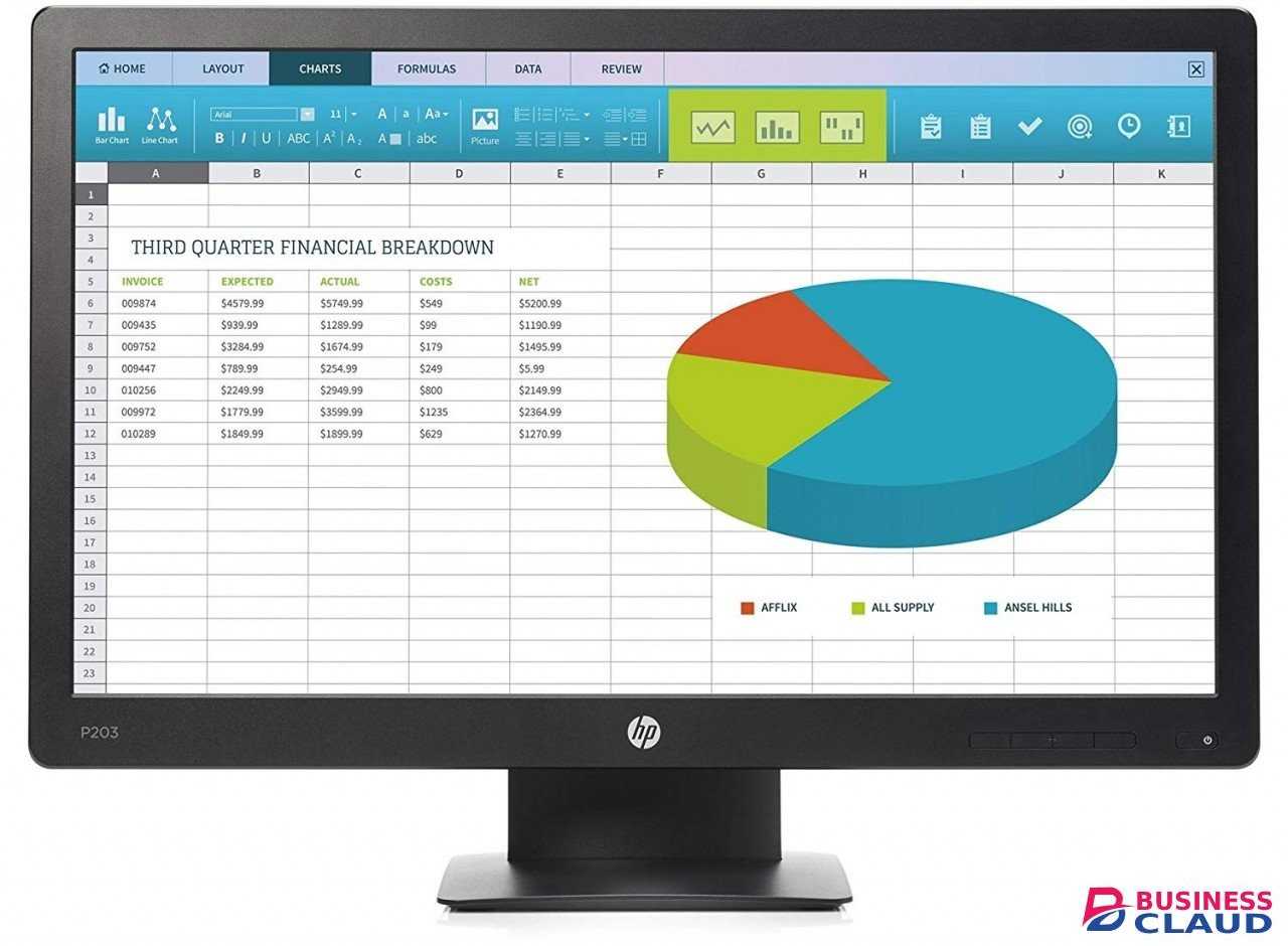 HP Prodisplay P203 20 Inch LED Backlit Monitor