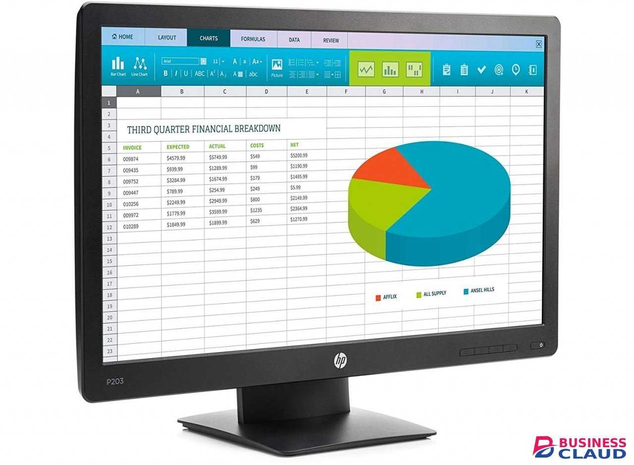 HP Prodisplay P203 20 Inch LED Backlit Monitor