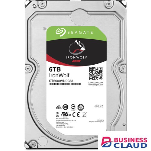Seagate IronWolf 6TB NAS Internal Hard Drive