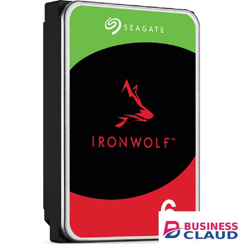 Seagate IronWolf 6TB NAS Internal Hard Drive
