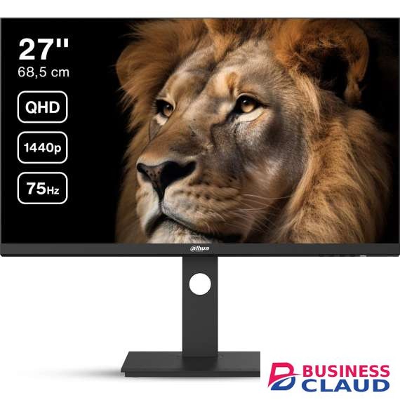 Dahua LM27-P301A 27 Inch QHD IPS Monitor