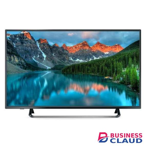 Mecer 43Inch Panel Monitor