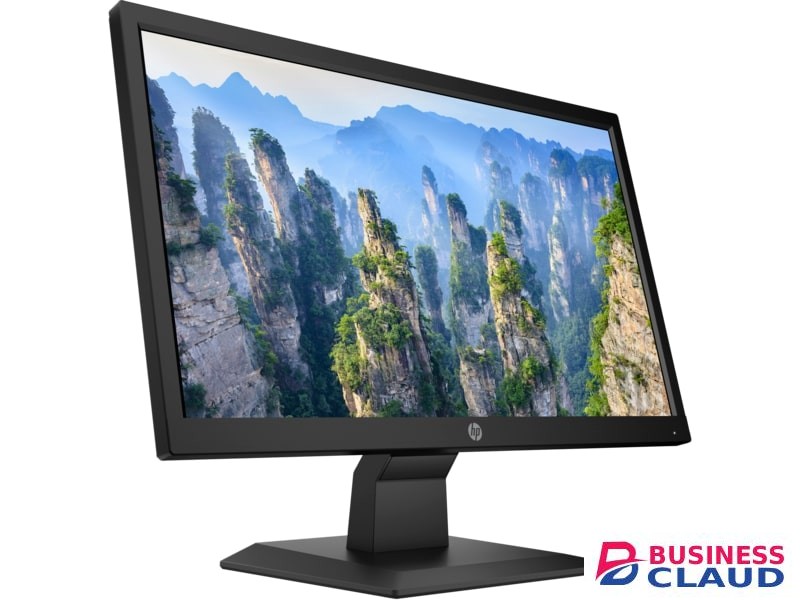 HP V20 19.5-inch HD+ Monitor