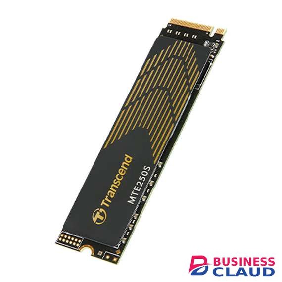 Transcend TS1TMTE250S 1TB M.2 Internal SSD with Heat Sink