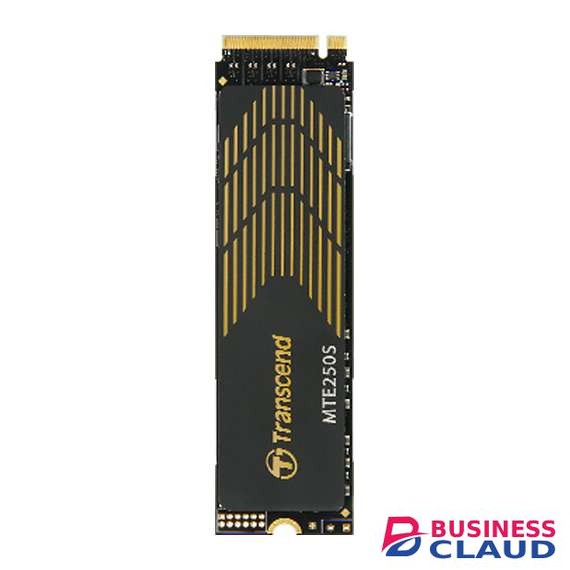 Transcend TS1TMTE250S 1TB M.2 Internal SSD with Heat Sink