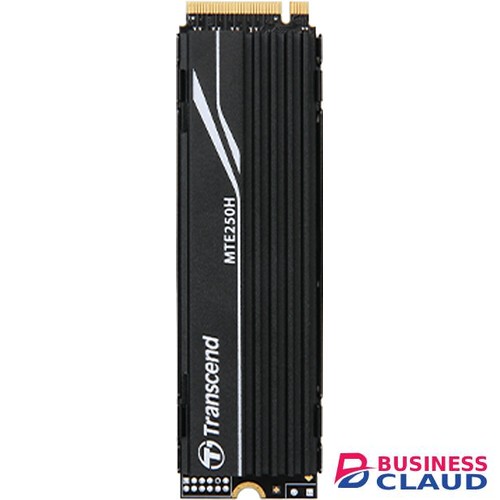 Transcend TS1TMTE250H 1TB M.2 Internal SSD with Heat Sink