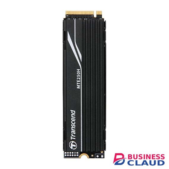 Transcend TS1TMTE250H 1TB M.2 Internal SSD with Heat Sink