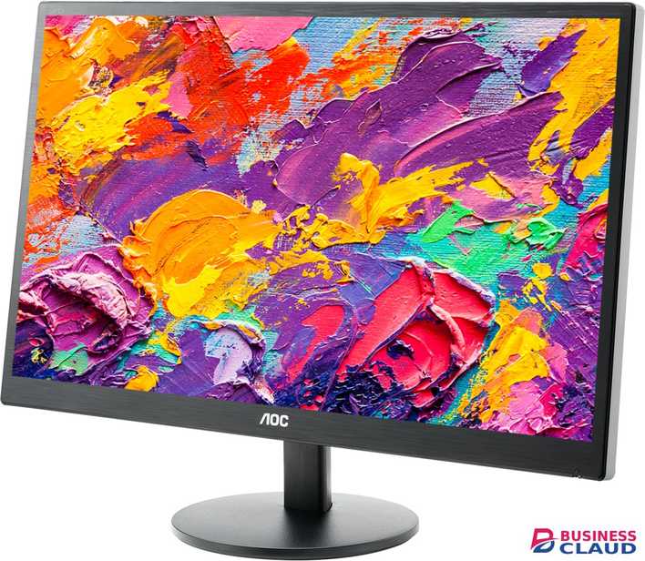 AOC E970SWN 18.5 Inch HD Monitor