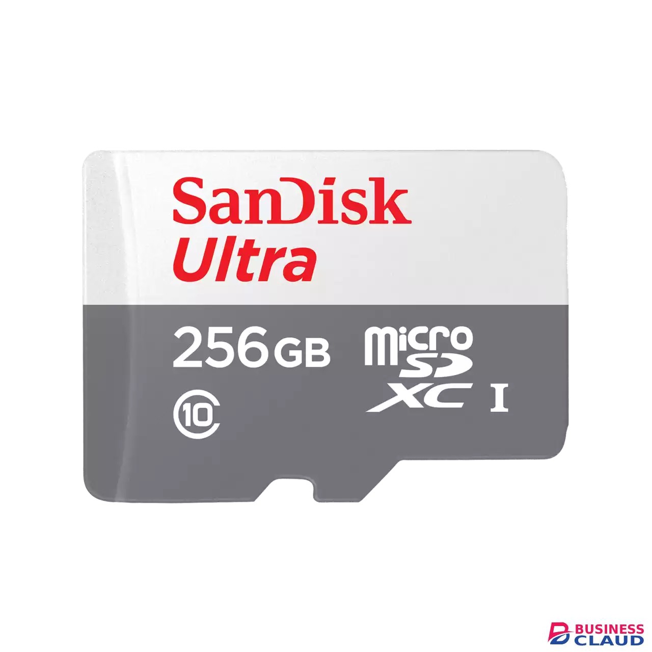 SanDisk MicroSD Card 256GB Class 10 Memory Card without Adapter