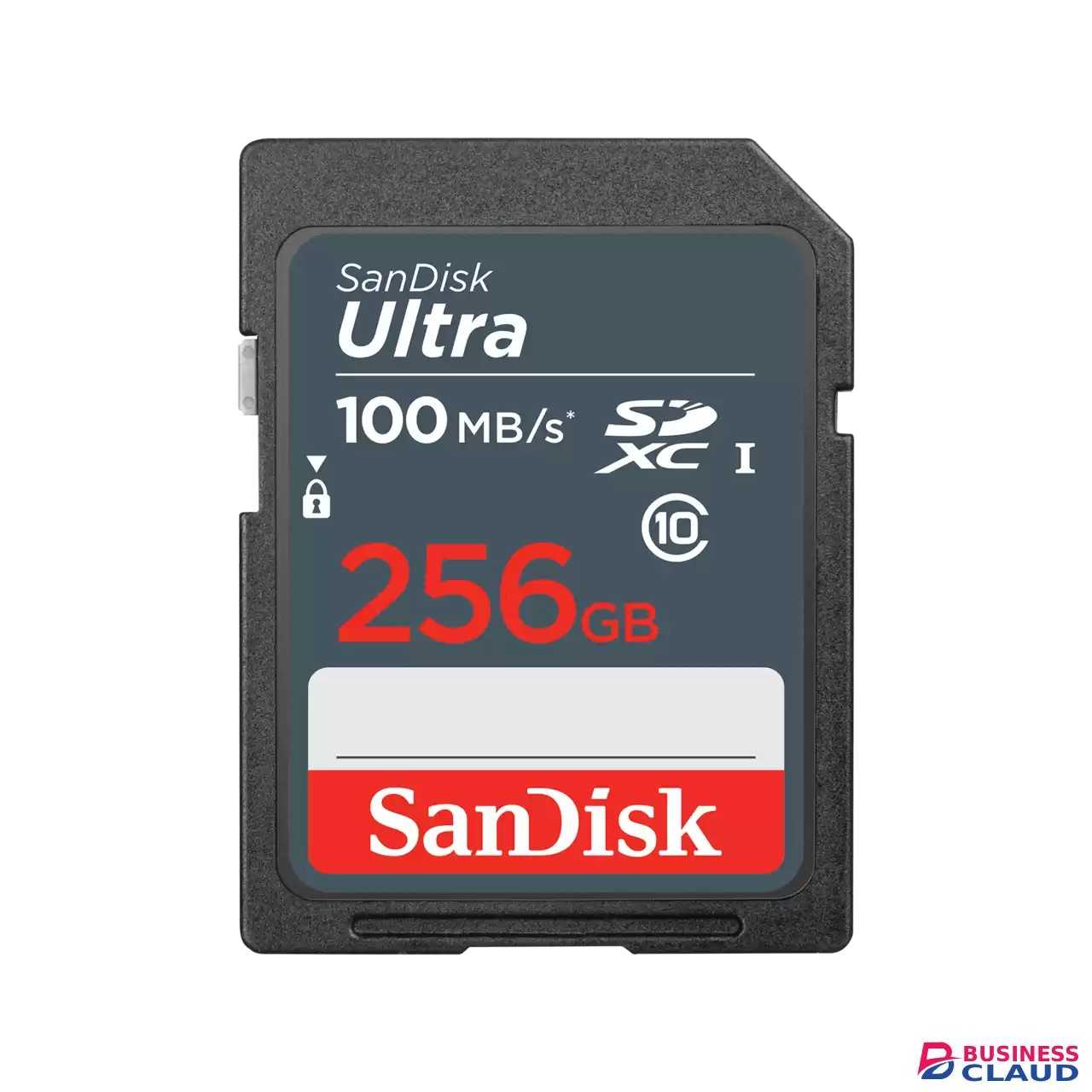 SanDisk Ultra SDHC and SDXC 256GB Memory Card for Camera