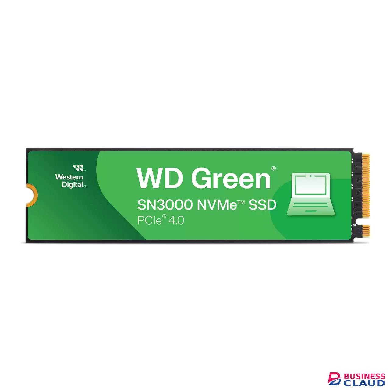 Western Digital Green 1TB SN3000 M.2 2280 PCIe Gen 4x4 Internal SSD