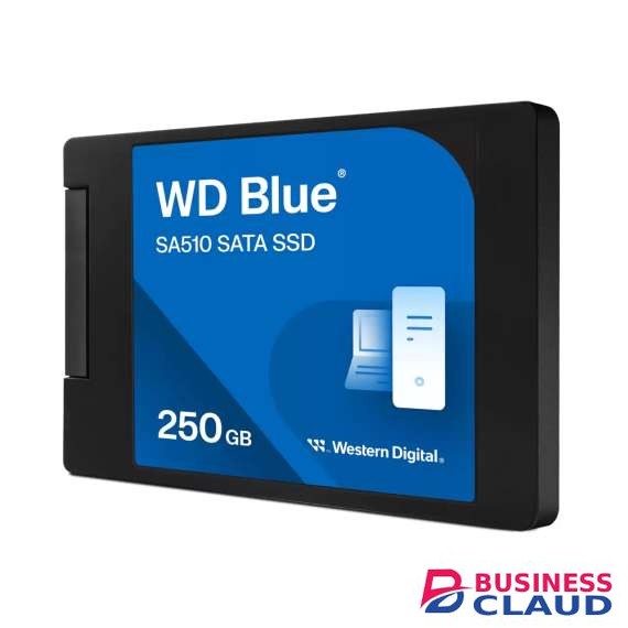 Western Digital Blue SA510 250GB 2.5 SATA Internal Solid State Drive